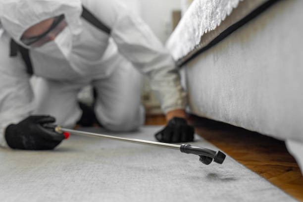Professional Fumigation Services technician working in Brimfield, OH