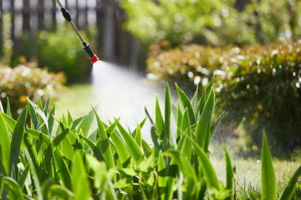 24/7 Emergency Fumigation Services experts in Brimfield, OH