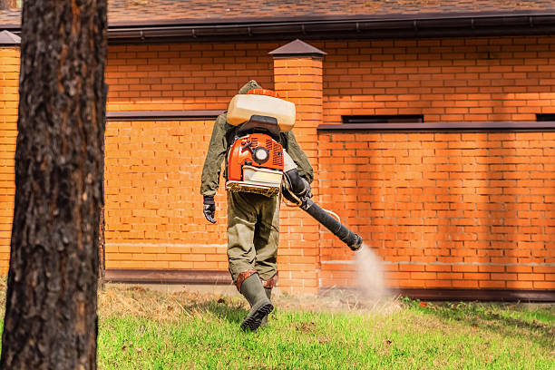 Top rated local Fumigation Services specialists in Brimfield, OH